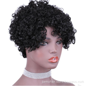 Short Kinky Curly Human Hair Wig,  Pixie Cut Human Hair Wigs For Black Women 100% Brazilian Virgin hair bobo wig